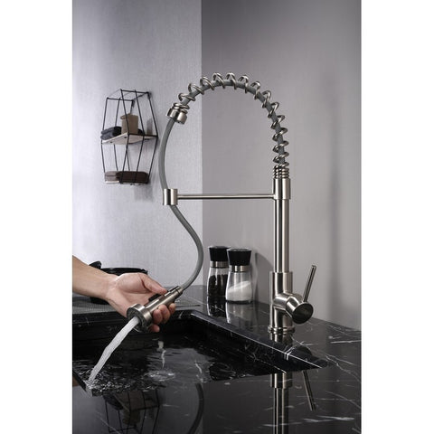 Image of Lexora Lanuvio Brass Kitchen Faucet w/ Pull Out Sprayer - Brushed Nickel | LKFS6011BN