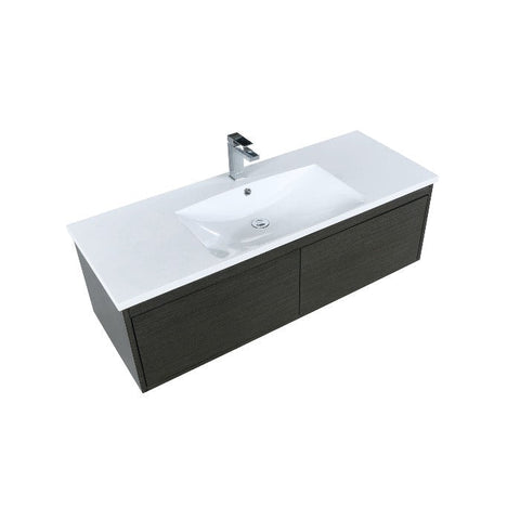 Image of Lexora Sant Contemporary 48" Iron Charcoal Bathroom Vanity with Labaro Rose Gold Faucet | LS48SRAIS000FRG