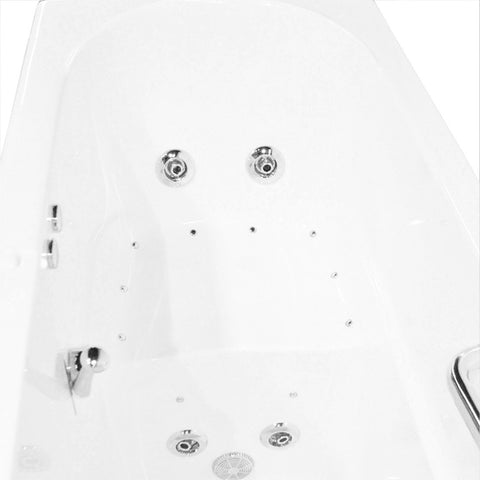Image of Ariel EZWT-3060 Dual Series Walk-In Tub | EZWT-3060-DUAL-R EZWT-3060-DUAL-R