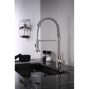 Lexora Lanuvio Brass Kitchen Faucet w/ Pull Out Sprayer - Brushed Nickel | LKFS6011BN
