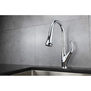 Lexora Garbatella Brass Kitchen Faucet w/ Pull Out Sprayer - Chrome | LKFS9011CH