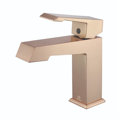 Image of Lexora Sant Contemporary 48" Iron Charcoal Bathroom Vanity with Labaro Rose Gold Faucet | LS48SRAIS000FRG